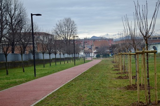 Novanta nuove piante per una Grugliasco sempre più Green