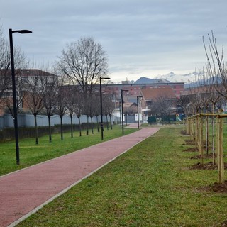 Novanta nuove piante per una Grugliasco sempre più Green