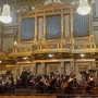 Ancora un premio per l'Orchestra Magister Harmoniae di Grugliasco