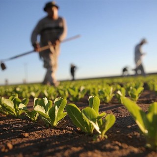 Uomo che coltiva la terra