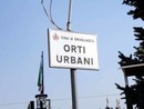 A Grugliasco assegnati 45 nuovi orti urbani