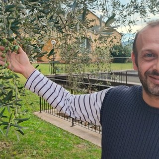 La stagione olearia entra nel vivo, il punto con Giacomo Rinaldi dell'Antica Azienda Raineri (Video)