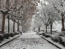 Previsioni meteo, a Torino arriva la neve: ecco quando è attesa in città