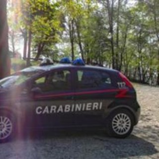 Varese, trovato cadavere in un bosco a Luino